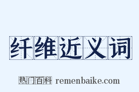 纤维近义词是什么意思的图片